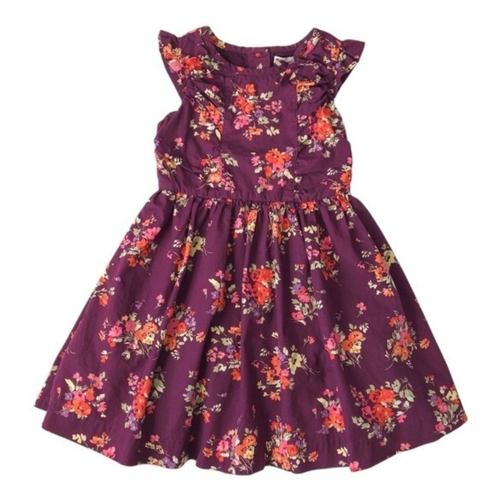 Janie and Jack Plum Purple & Red‎ Floral Equestrian Charm Party Dress- Girl's 4